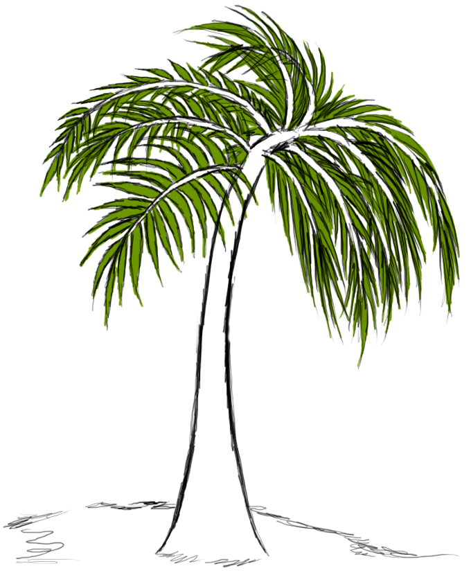 Palm Tree Draw