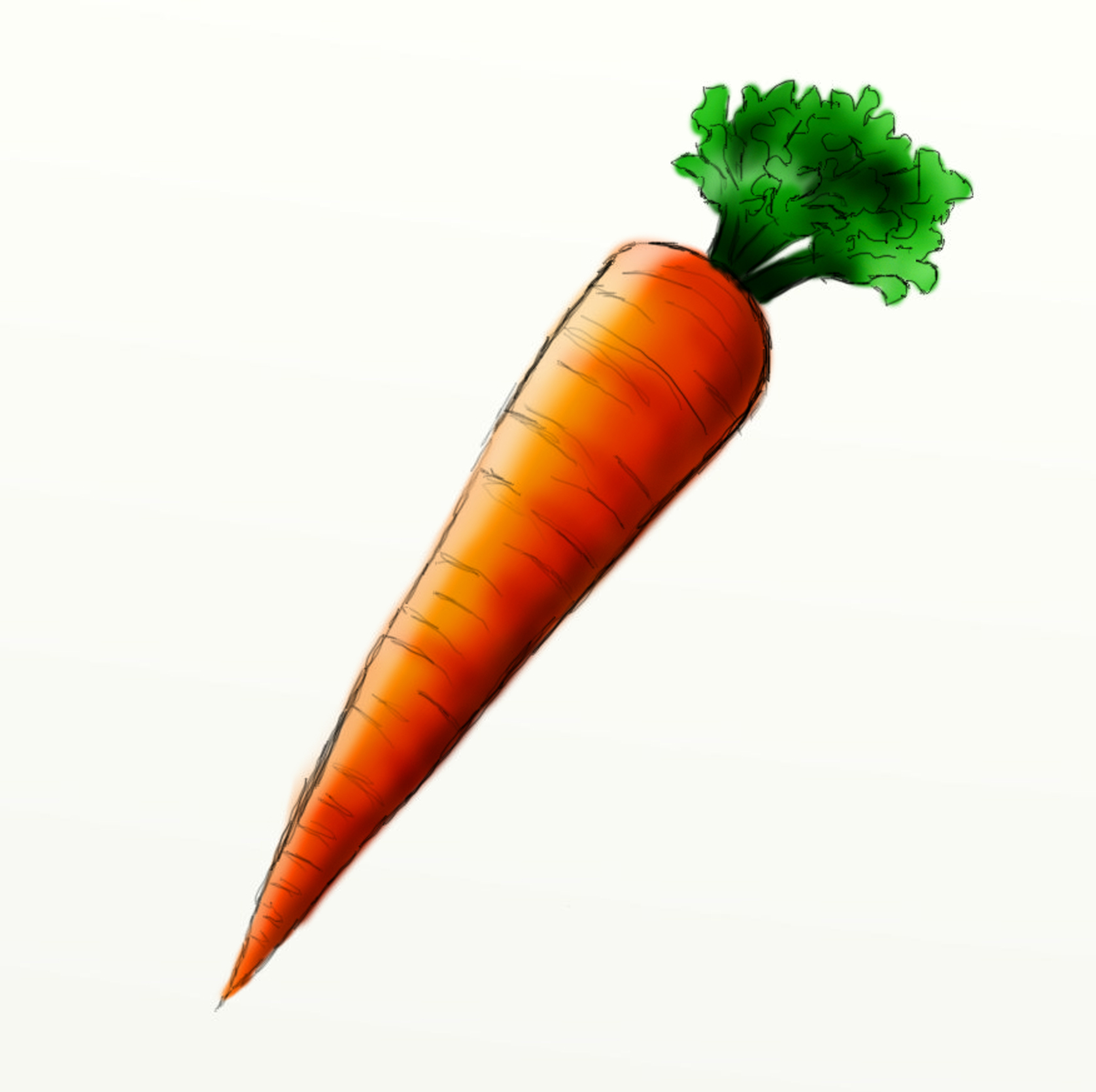 clipart carrot - photo #44