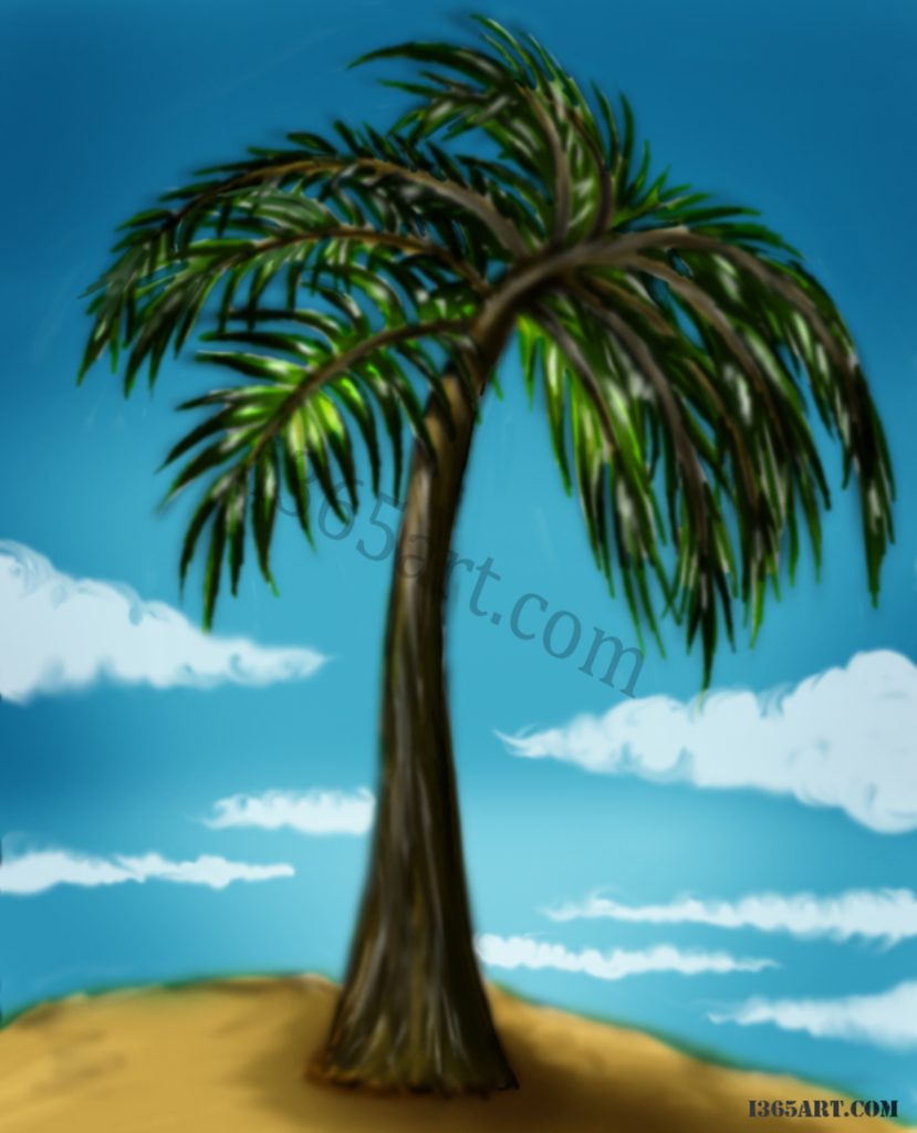 tropical palm tree