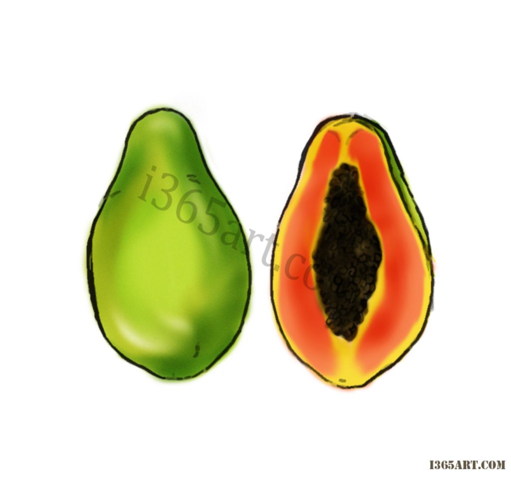 papaya clip art