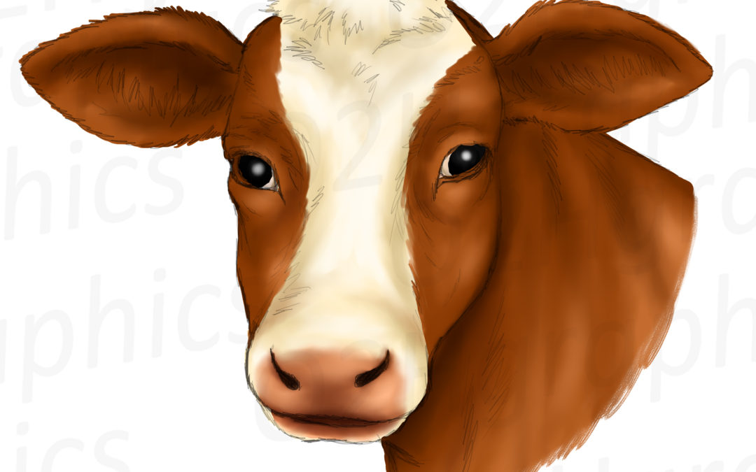 Brown Cow Clipart, Sublimation Design, Watercolor Drawing, Cow Lovers, PNG