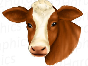 Brown Cow Clipart