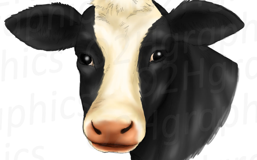 Cow Face Clipart, Sublimation Design, Watercolor Drawing, Cow Lovers, PNG