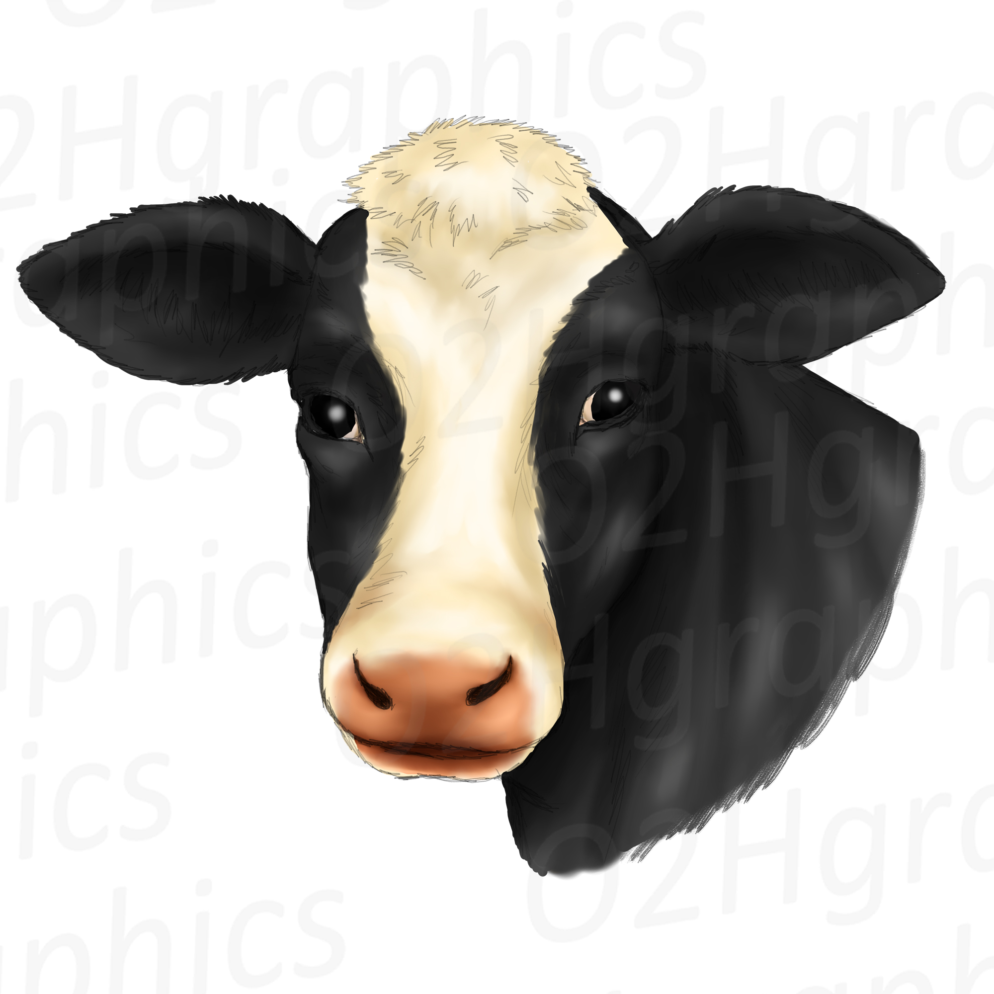 cows clipart face
