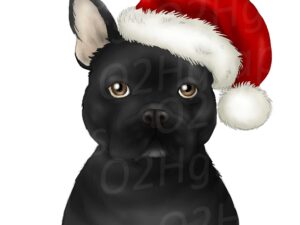 Black Christmas French Bulldog Clipart