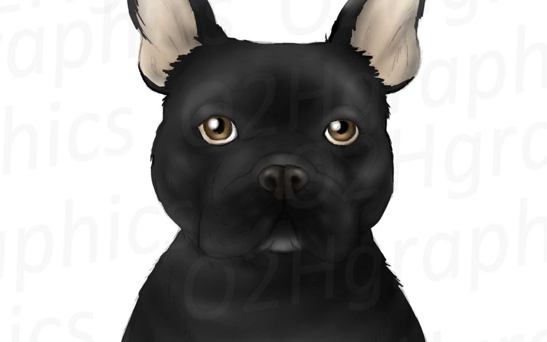 Black French Bulldog Clipart, Sublimation Design, Watercolor Drawing, PNG