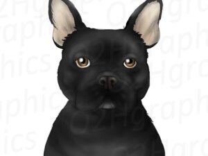 Black French Bulldog Clipart