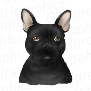 Black French Bulldog Clipart