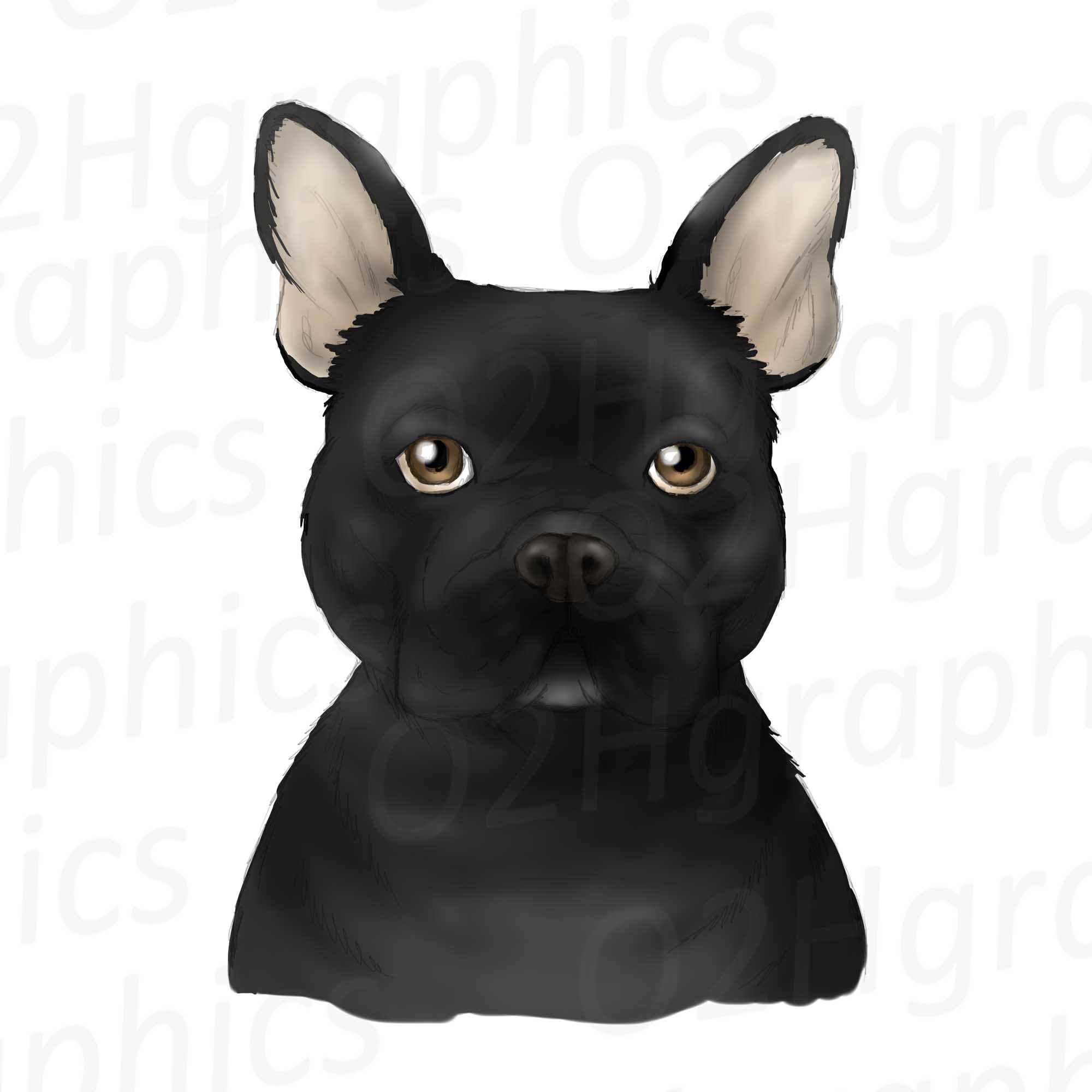 Black French Bulldog Clipart Sublimation Design Watercolor