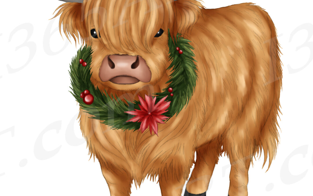 Christmas Highland Cow Clipart Sublimation PNG