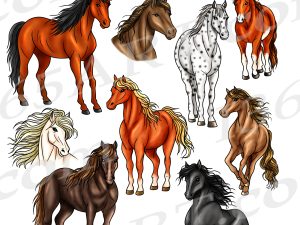 Horse Clipart PNG JPG