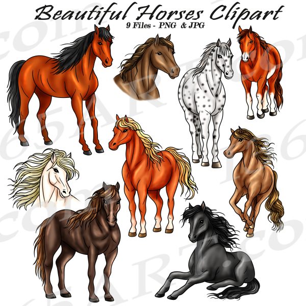 Horse Clipart PNG JPG