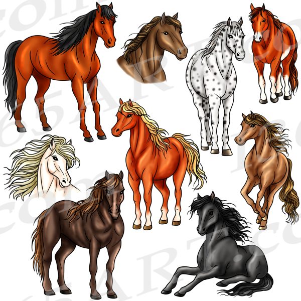 Horse Clipart PNG JPG