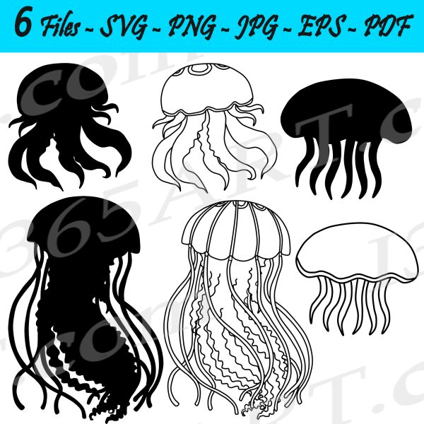 Jellyfish Medusa SVG