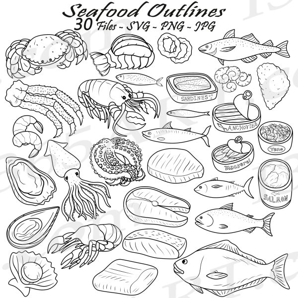 30 Seafood & Fish SVG