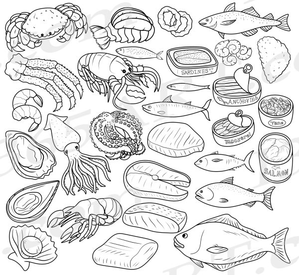 30 Seafood & Fish SVG Clipart Illustrations PNG JPG Download - Image 2