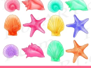Pastel Color Seashells Clipart
